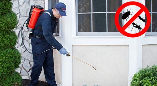 Toprakkale Bit İlaçlama böcek ilaçlama ve haşere kontrolü — ilaclama-tr.com